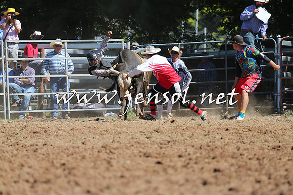 Taralga2015_4703