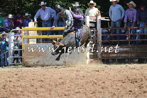 Taralga2015_4577