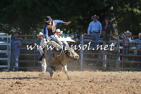 Taralga2015_5377