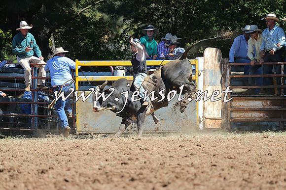 Taralga2015_4684