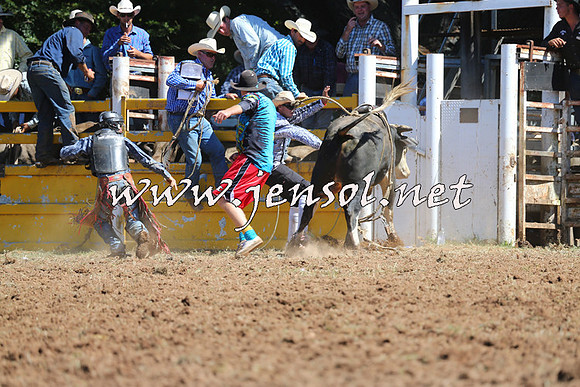 Taralga2015_4630
