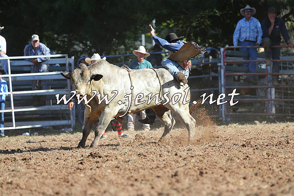 Taralga2015_5383