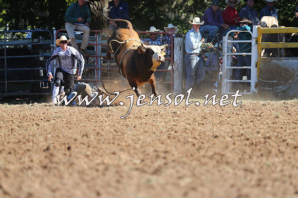 Taralga2015_5306