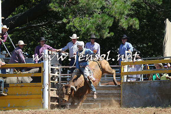 Taralga2015_4642