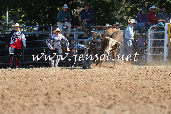 Taralga2015_5312