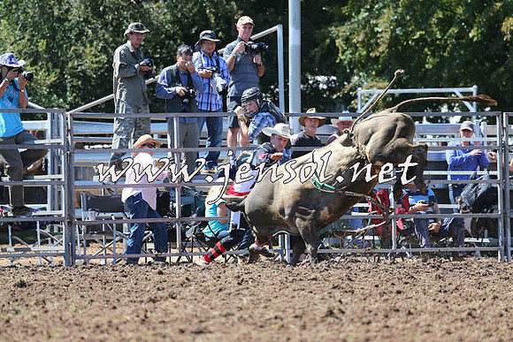 Taralga2015_2001