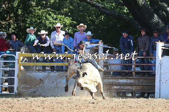 Taralga2015_5347
