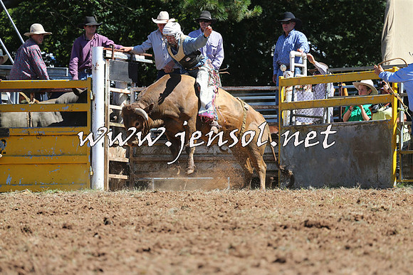 Taralga2015_4639