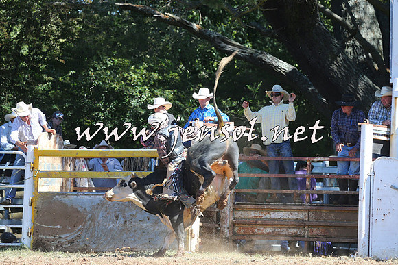 Taralga2015_4807