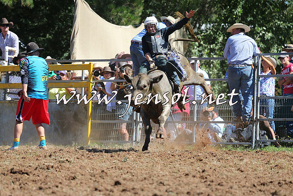 Taralga2015_4750