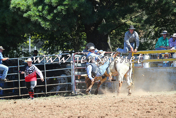 Taralga2015_4604