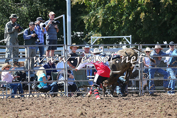 Taralga2015_1996