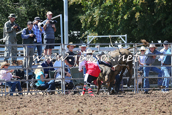 Taralga2015_1995