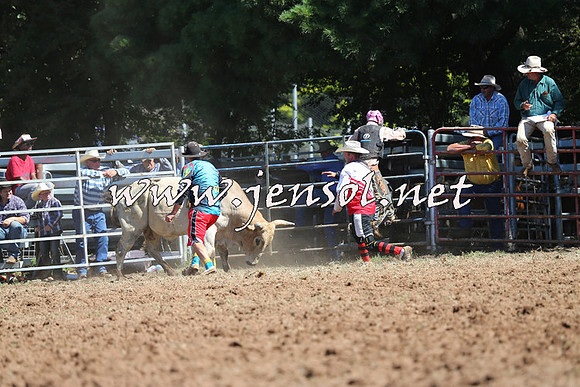 Taralga2015_4801