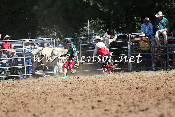 Taralga2015_4803