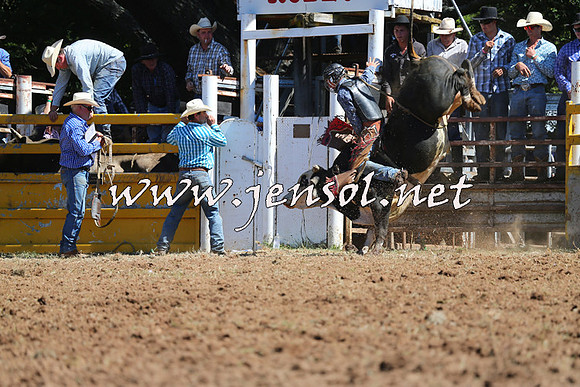 Taralga2015_4611