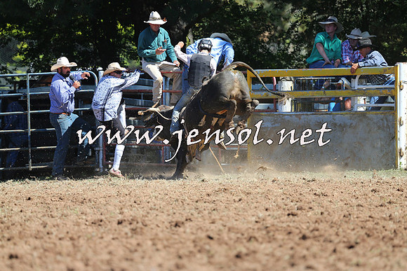 Taralga2015_4691