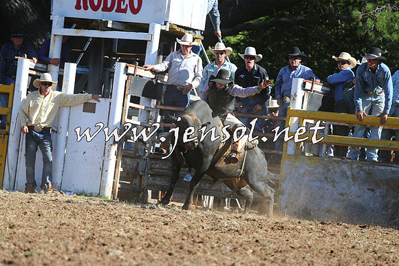 Taralga2015_5415