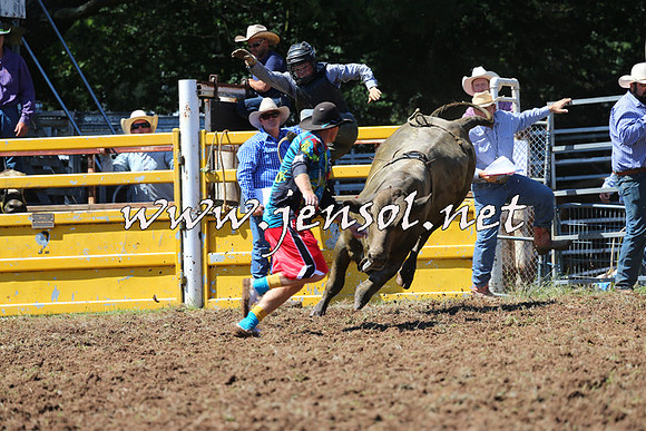 Taralga2015_2037