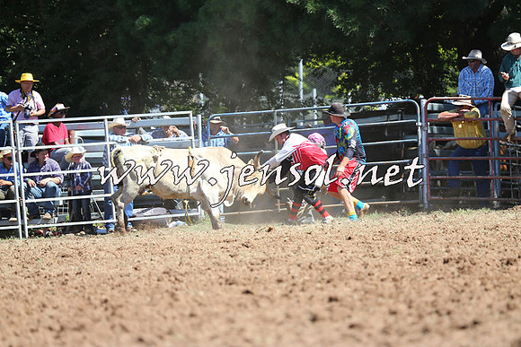 Taralga2015_4799