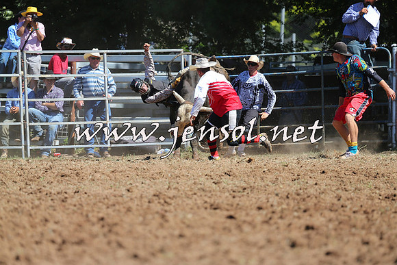 Taralga2015_4704