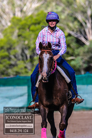 CooranbongFeb2018_3550