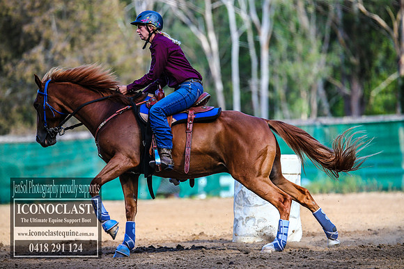CooranbongFeb2018_3334
