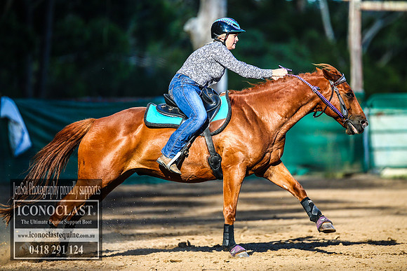 CooranbongFeb2018_4442