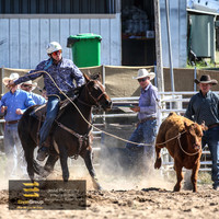 BungendoreRodeo2018-1291