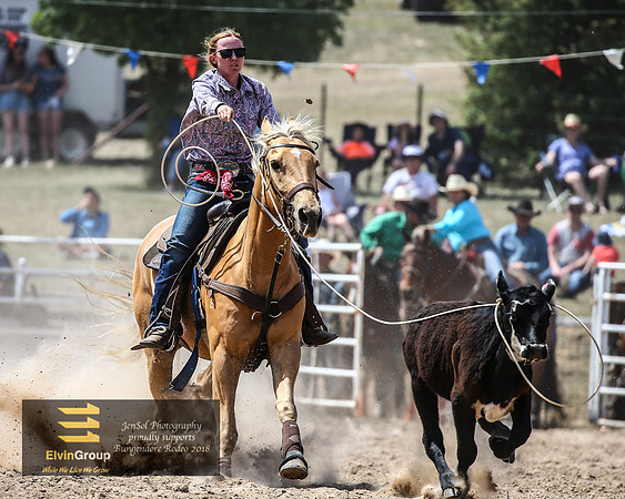 BungendoreRodeo2018-5418