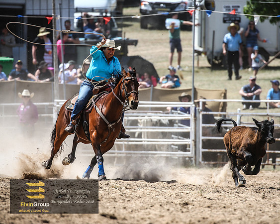 BungendoreRodeo2018-5385