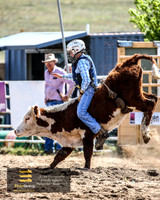 BungendoreRodeo2018-2014