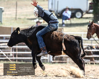 BungendoreRodeo2018-2267