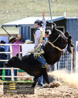 BungendoreRodeo2018-2258