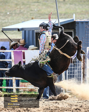 BungendoreRodeo2018-2258