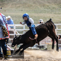 BungendoreRodeo2018-2156
