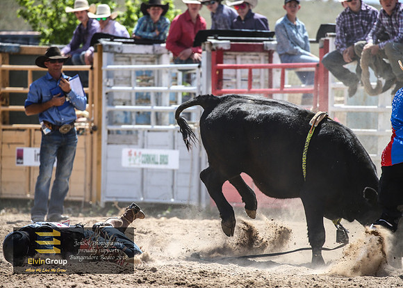 BungendoreRodeo2018-2534