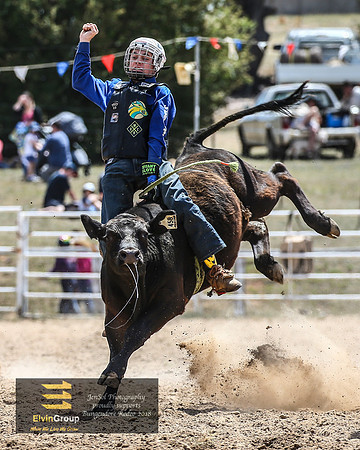 BungendoreRodeo2018-2791