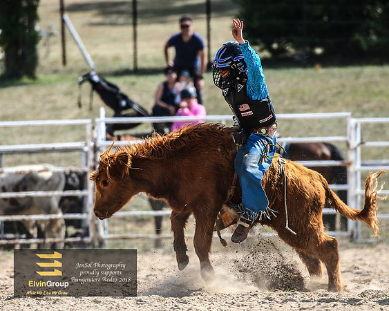 BungendoreRodeo2018-1919