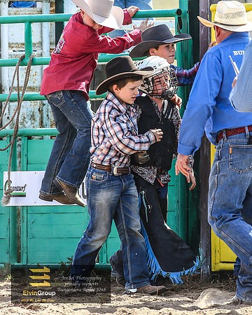 BungendoreRodeo2018-2009