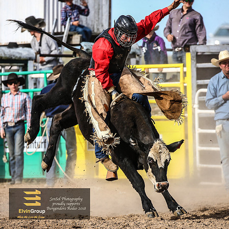 BungendoreRodeo2018-8524