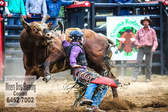 CoomaRodeo2018_5188