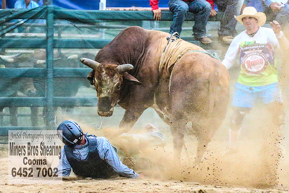 CoomaRodeo2018_4965