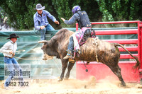 CoomaRodeo2018_2428