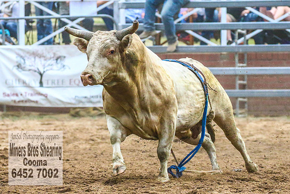 CoomaRodeo2018_4794
