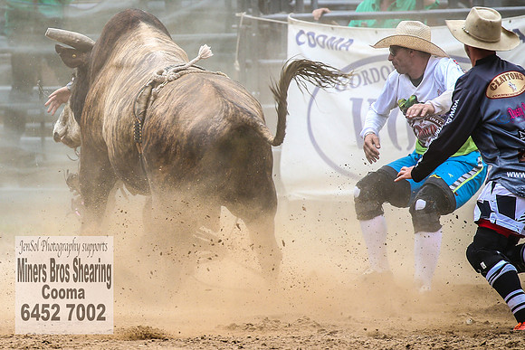 CoomaRodeo2018_2451