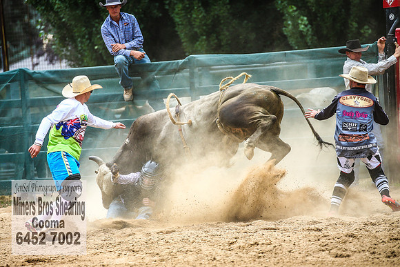CoomaRodeo2018_2397