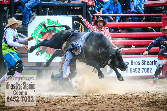 CoomaRodeo2018_4898