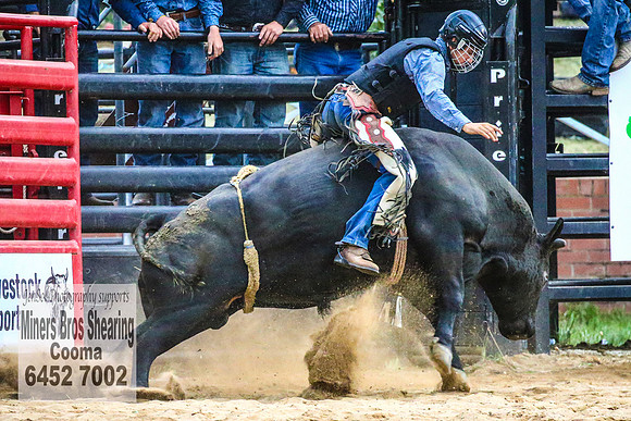 CoomaRodeo2018_4880