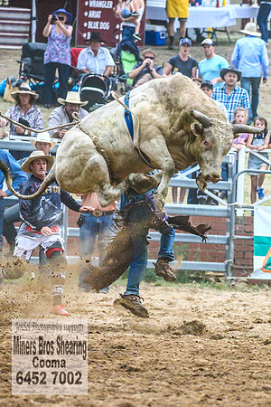 CoomaRodeo2018_4748